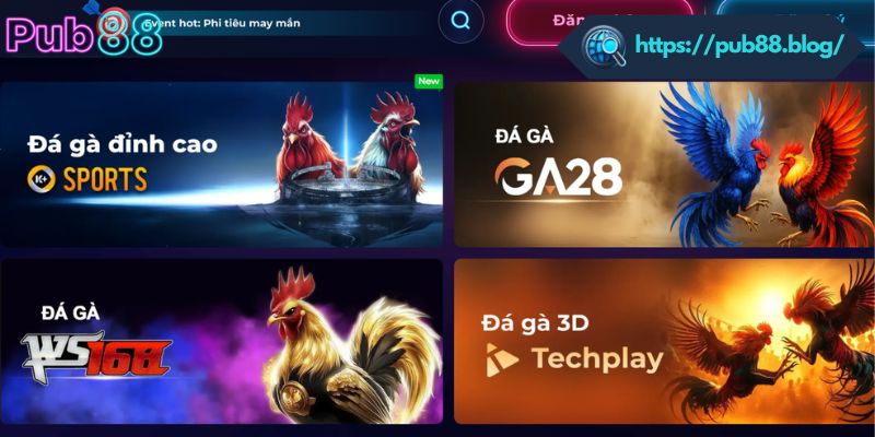 Giới thiệu chuyên mục cá cược đá gà PUB88
