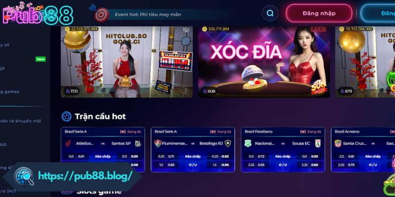 Hành vi bị cấm trong điều khoản sử dụng PUB88